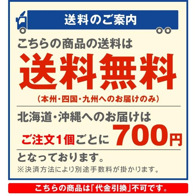 電気柵 動物よけ ソーラーアニマルバスター本体のみ 1組 ≪代引不可