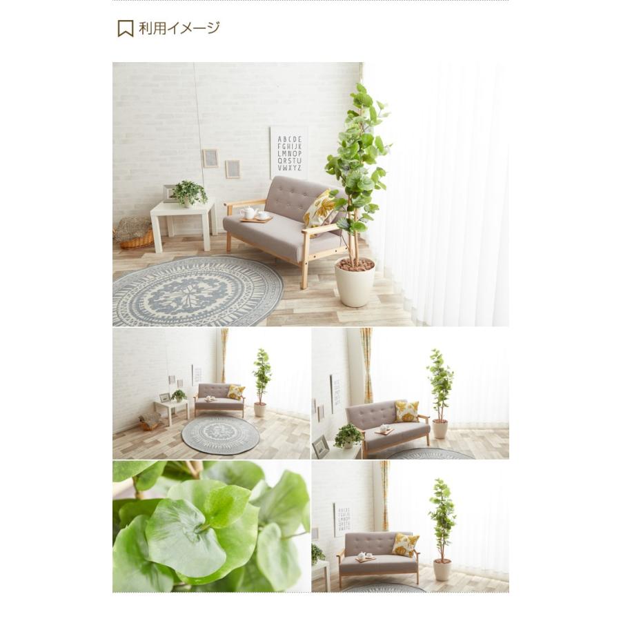 観葉植物 シーグレープ sea grape 室内 イミテーショングリーン : 家具