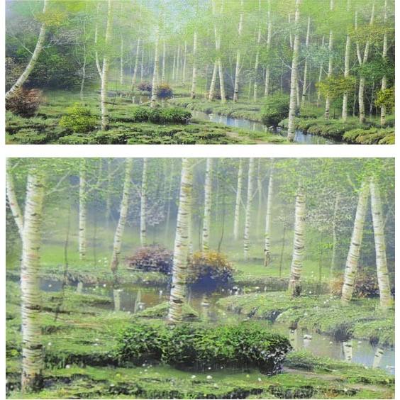 絵画 油絵 白樺林 （早瀬遼） 【肉筆】【油絵】【日本の風景】【横長