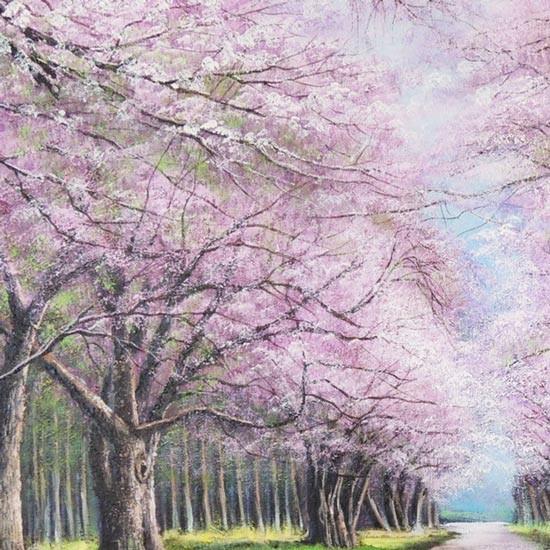 絵画 油絵 二十間道路桜並木 F30号 （木村由記夫） 【肉筆】【油絵