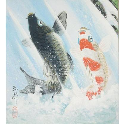 美品 掛け軸 広森耕仁作 夫婦鯉の滝登り図 共箱 太巻き付 美術年鑑掲載