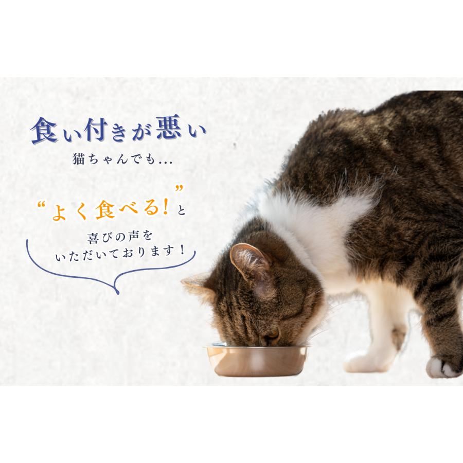キャットフード 猫 子猫 シニア猫 #ねこ様用 60g 10袋 スモークカツオ
