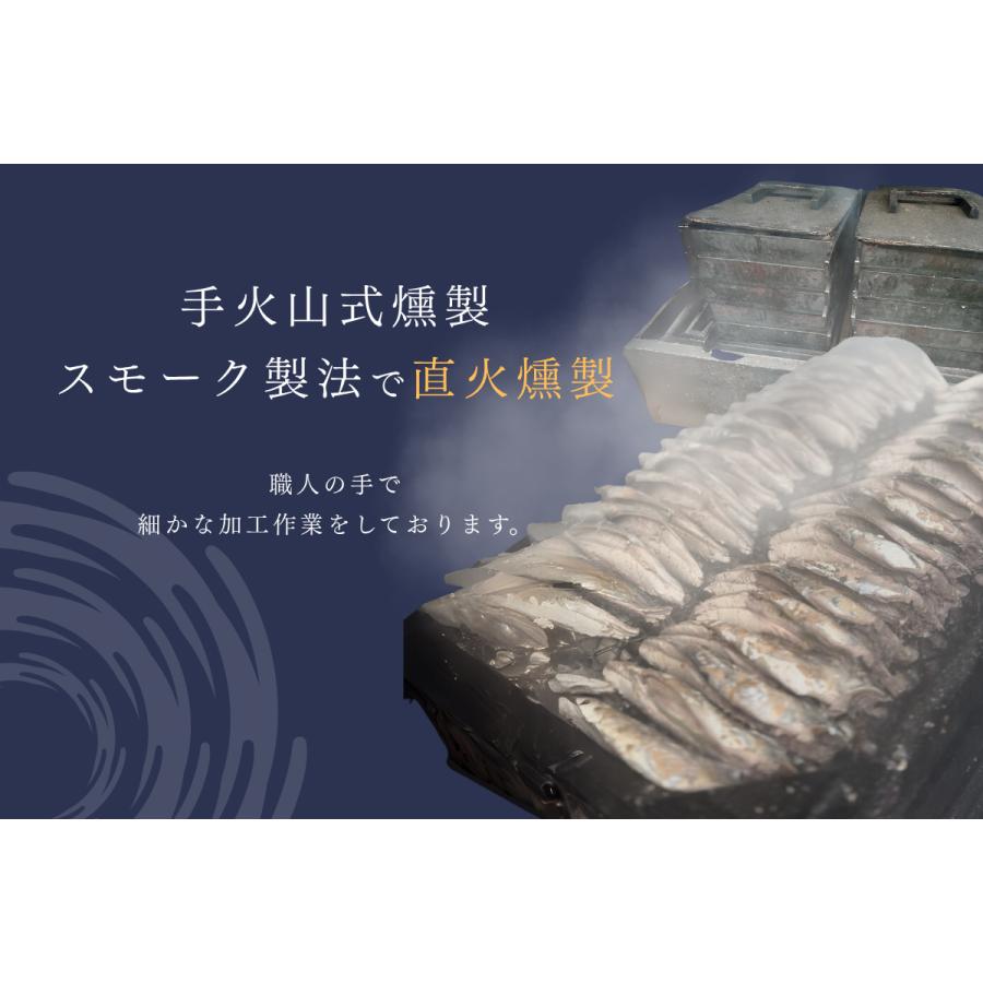 キャットフード 猫 子猫 シニア猫 #ねこ様用 60g 10袋 スモークカツオ