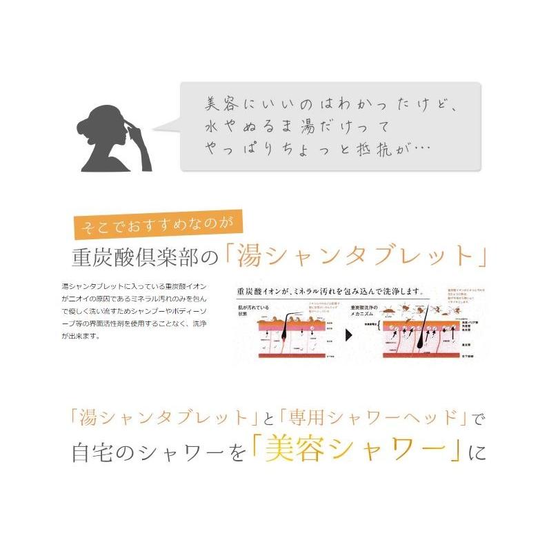 湯シャンタブレット シャワーヘッド+タブレット10錠入り ノー