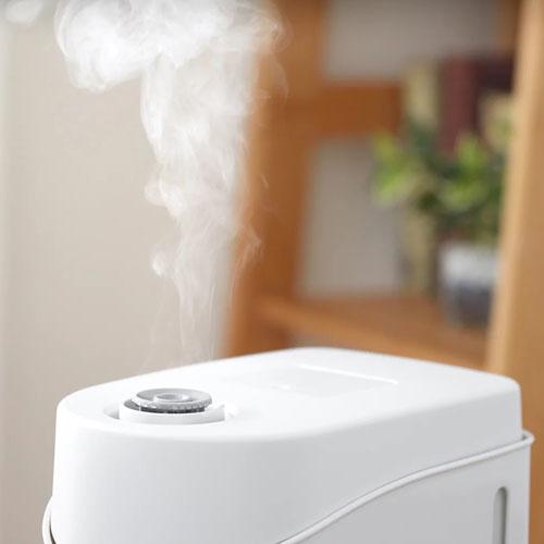 ツインバード スチーム式 パーソナル加湿器 ホワイト SK-E961W 加湿器