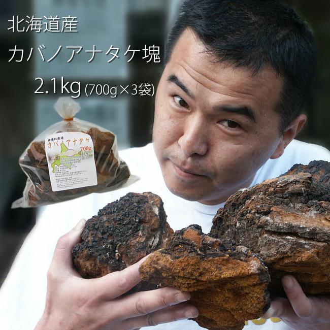 業務用 カバノアナタケ茶塊(原体)2.1kg(700g×3袋セット)北海道産