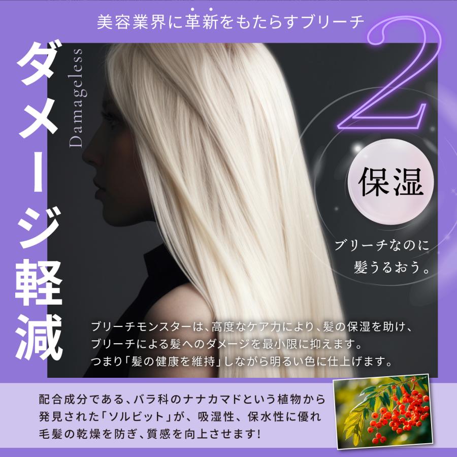 KYOGOKU PROFESSIONAL 公式 セットで17%OFF 【 KYOGOKU ブリーチ