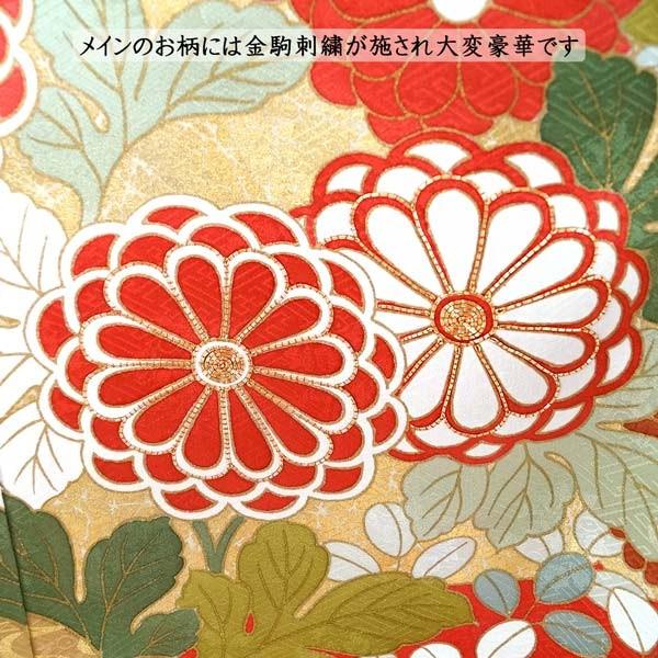 藤井寛 手描 友禅正絹振袖 f-559 袴プレゼント！ 仕立付き 5年保証 赤