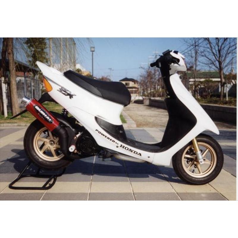 マフラー ベリアル グランドスラム(チャンバー) PUR ライブDIO ZX H01