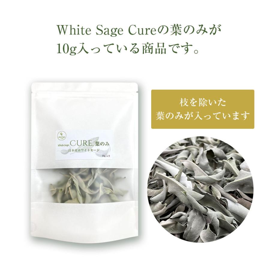 ホワイトセージ キュア 葉のみ 日本産ホワイトセージ 無農薬 浄化 消臭