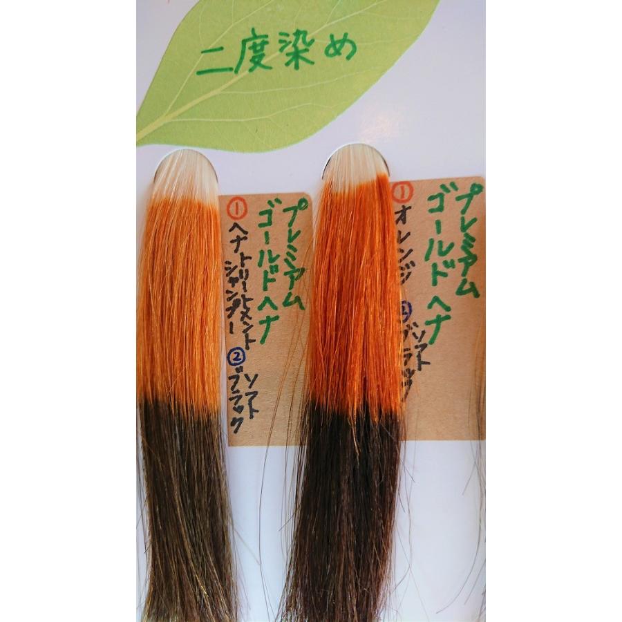 なんと便利・簡単ヘナ染めもできる プレミアムヘナシャンプー □2箱