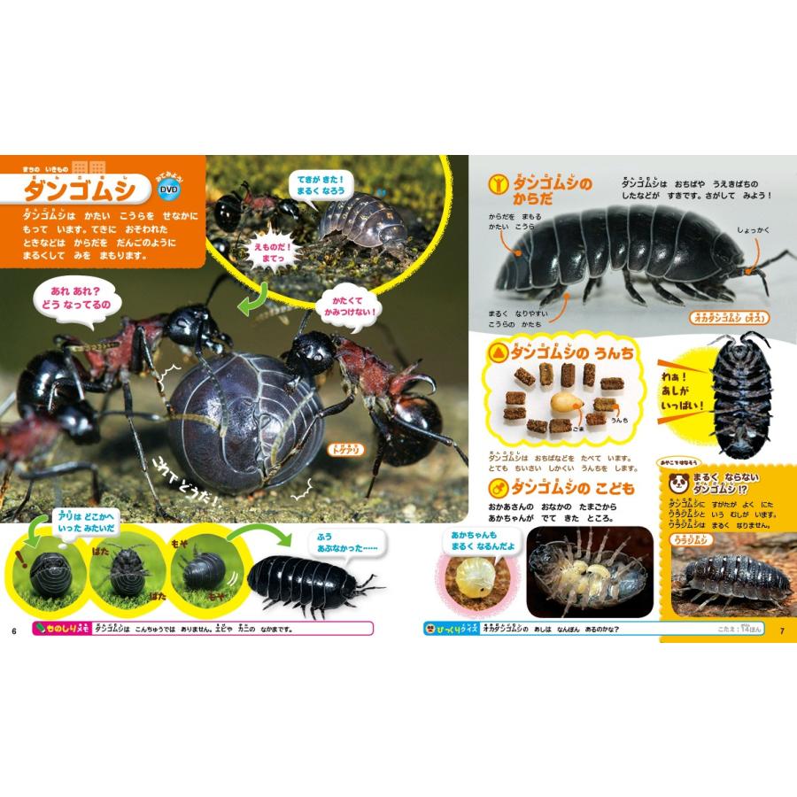 講談社の動く図鑑MOVE) DVD付 はじめてのずかん みぢかないきもの