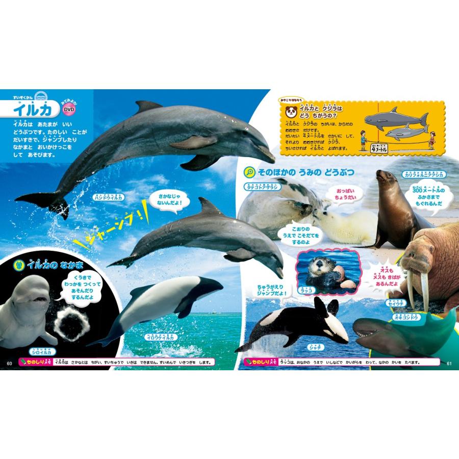 講談社の動く図鑑MOVE) DVD付 はじめてのずかん みぢかないきもの