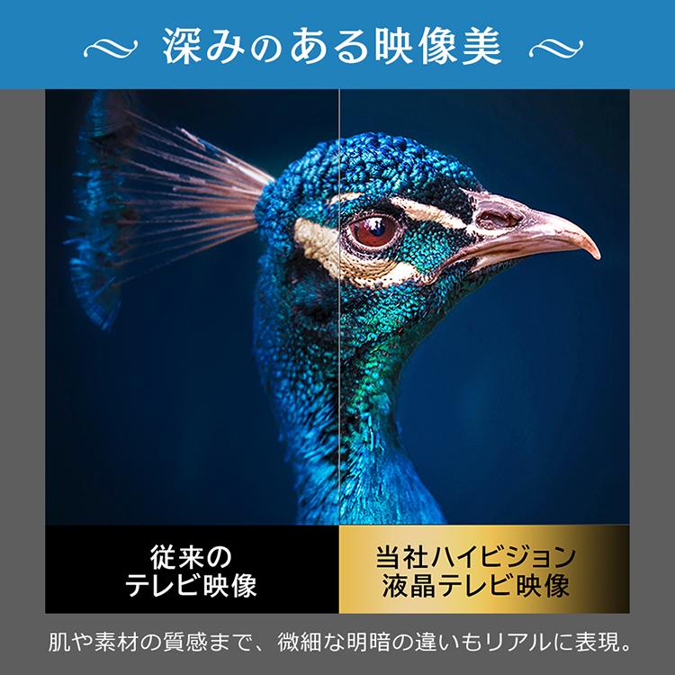 IRIS OHYAMA（アイリスオーヤマ） テレビ 本体 ハイビジョン液晶テレビ