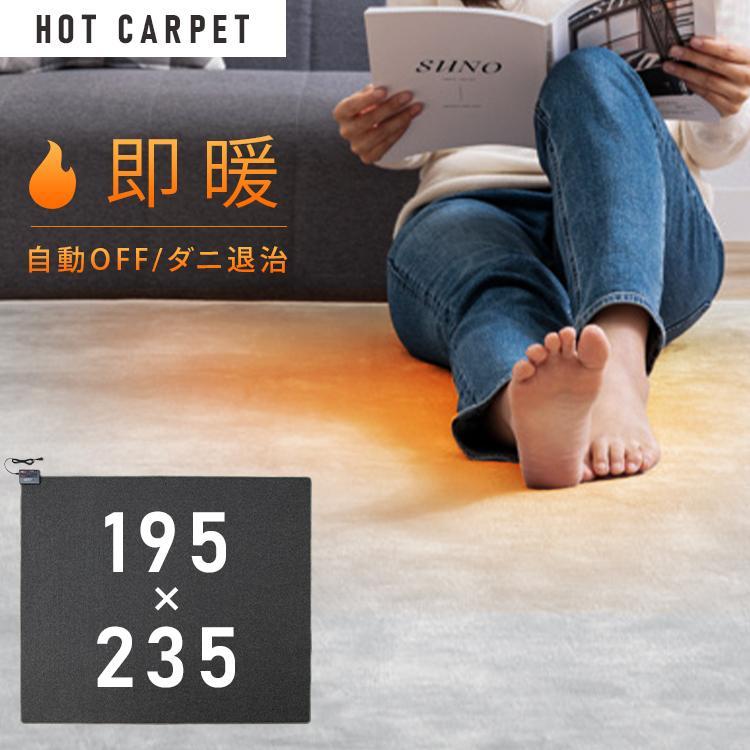 ホットカーペット 3畳 本体 TEKNOS 195×235cm おしゃれ 節電 ダニ退治