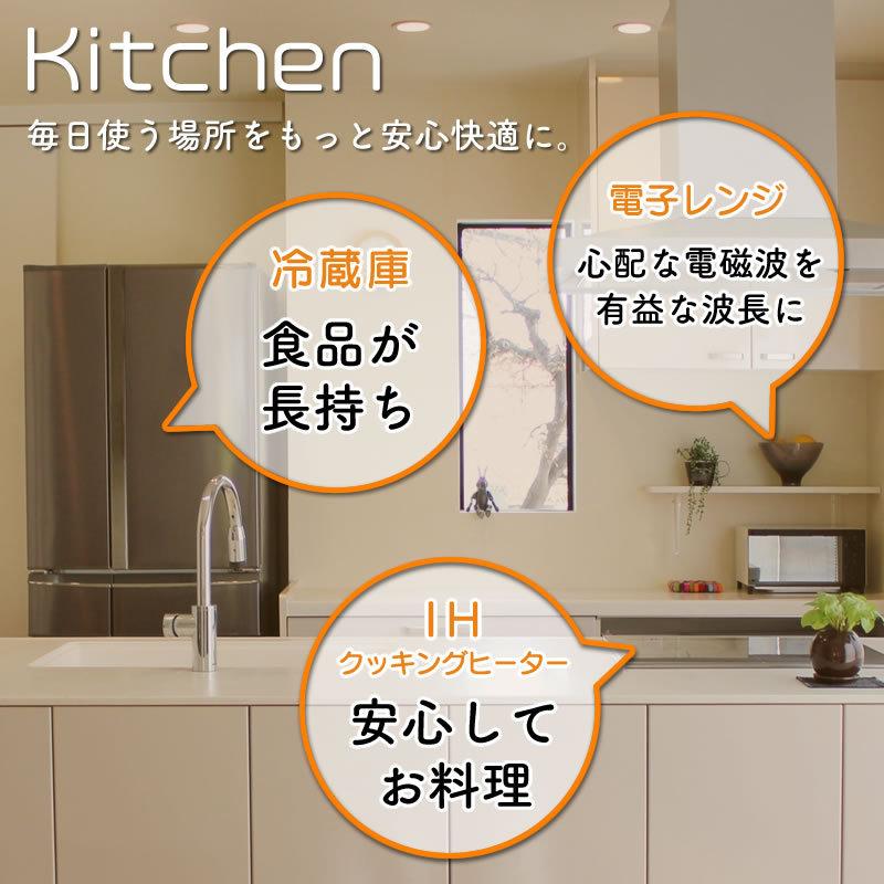 電磁波対策】アポロ・シン・ムーン(50mm×1枚と30mm×2枚） : イキイキ