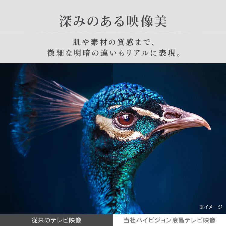 IRIS OHYAMA（アイリスオーヤマ） 液晶テレビ 40インチ ホワイト 本体