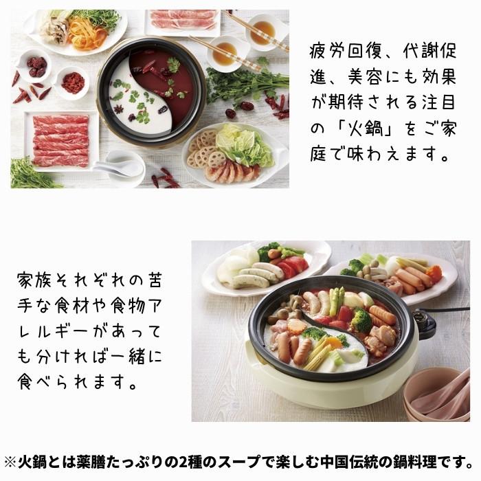 ELECTRIC（エレクトリック） Electric Separate Pot [電気二食鍋] ASP