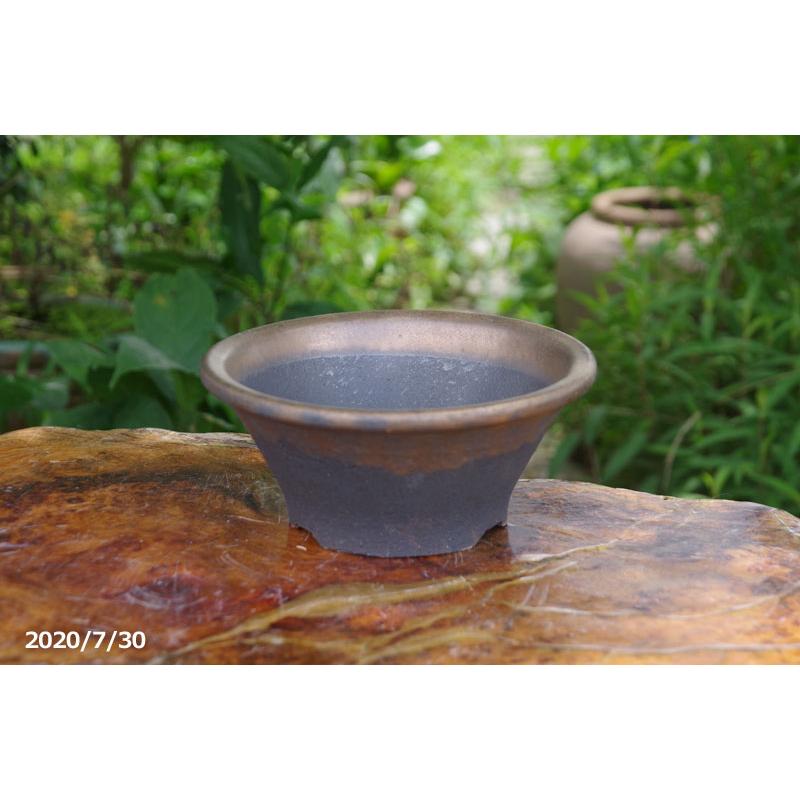 信楽焼 植木鉢 金彩ソリ鉢 7号 【山野草鉢 多肉植物鉢 盆栽鉢】 : 石田