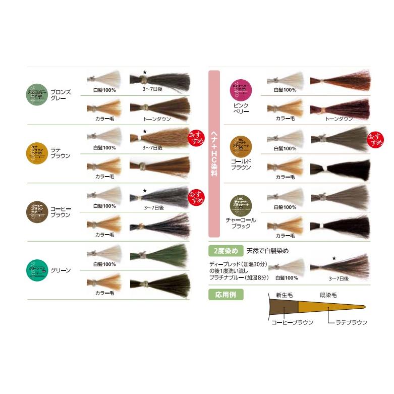 ジャパンヘナ プラチナブルーヘナ 100g : 愛らんどびゅーてぃ - 通販