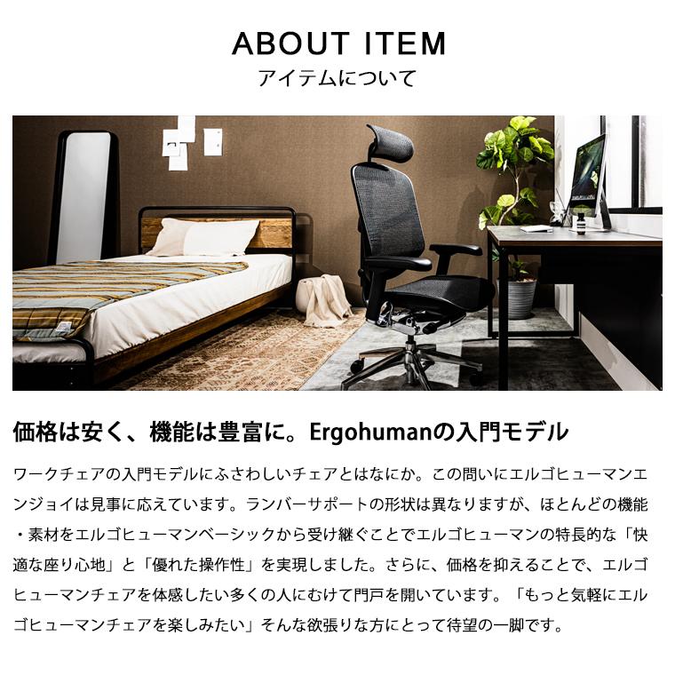 エルゴヒューマン（Ergohuman） エンジョイ2 ランバーサポート付