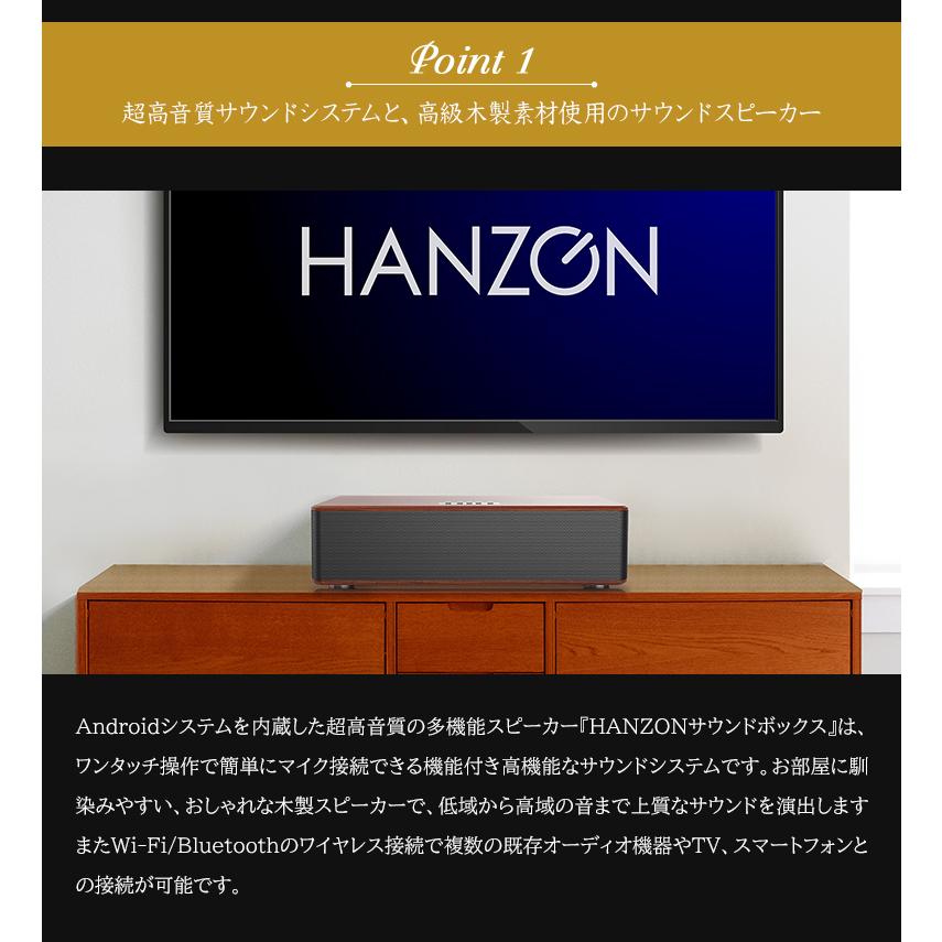 HANZONサウンドボックス カラオケセット 家庭用 マイク ワイヤレス