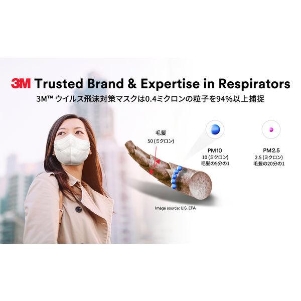 侵入率90％カット! 超高機能マスク 3M ウイルス飛沫対策 マスク 3枚入
