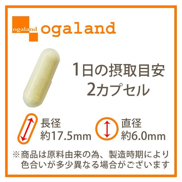 ogaland（オーガランド） α-リポ酸 （約6ヶ月分）ポイント利用