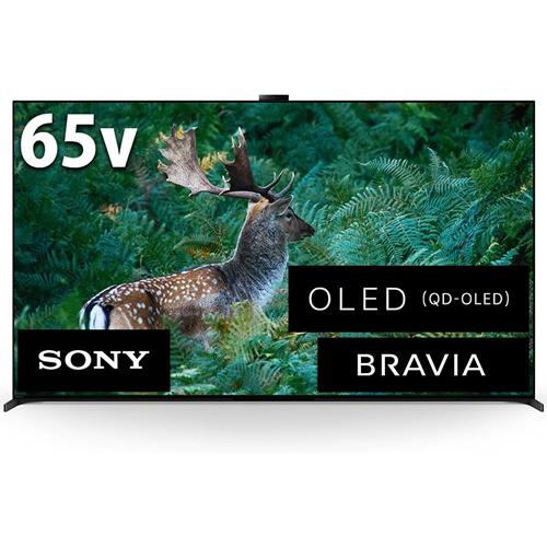 BRAVIA XRJ-65A95L ソニー 65V型 4K有機ELテレビ XR （A95Lシリーズ