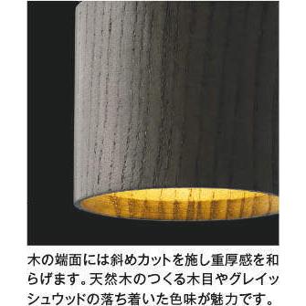 KOIZUMI（コイズミ） AP53980 ペンダントライト LED一体型 非調光 60W