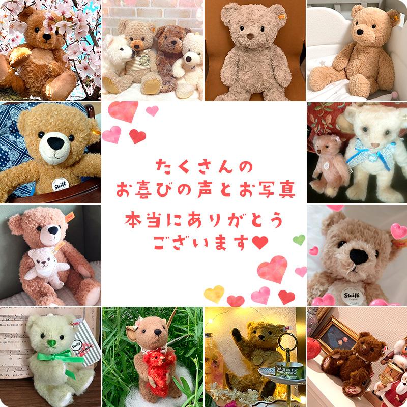 Steiff（シュタイフ） 即納商品 ソフトキーリング テディベア ベン