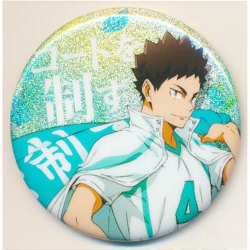 ハイキュー!! コレクション缶バッジ 10th 排 岩泉一 24点セット