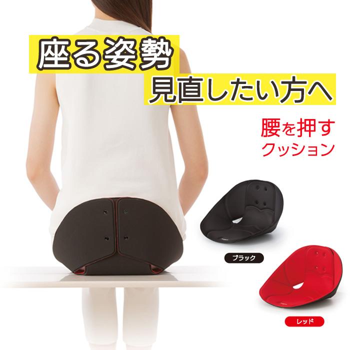 ボードクッション コシオス 腰痛 骨盤 クッション 腰を押す 骨盤を