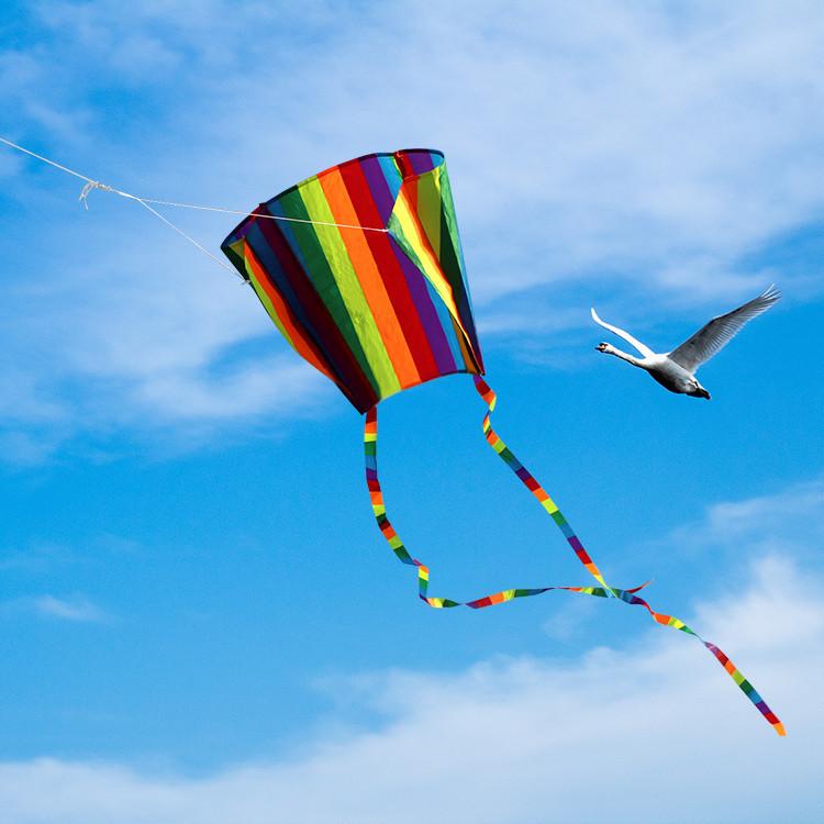 カイト 凧 骨なしカイト 長尾200cm 凧揚げ 凧上げ タコ揚げ スポーツ