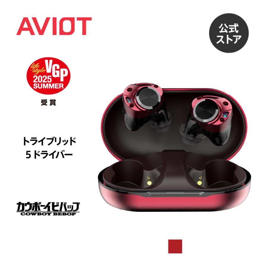 AVIOT AVIOT TE-ZX1 ノイズキャンセリング ワイヤレスイヤホン