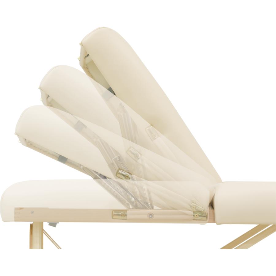 プリモチルトフェイスホール28【フォンタナ】マッサージベッド : 家庭