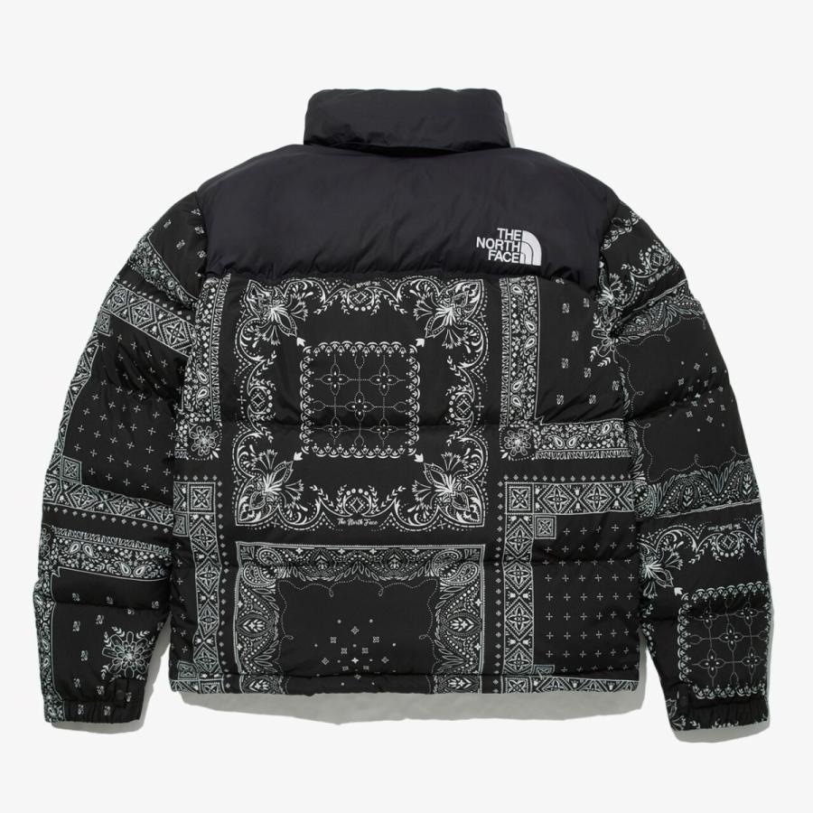THE NORTH FACE（ザ ノースフェイス） ノースフェイス ダウン 1996