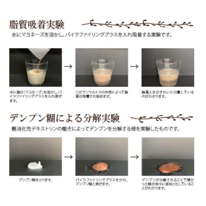 LAVAエステ推奨品 PYR FILING PLUS 30包入り 5箱 PYR FILING PLUS