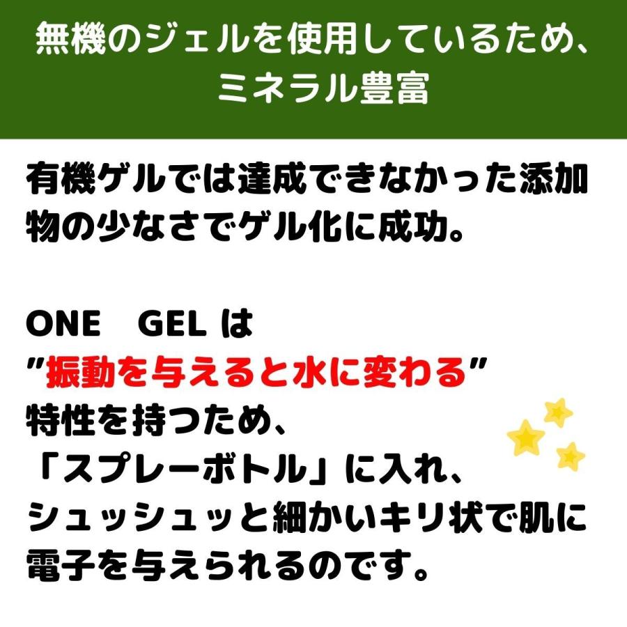 ワンゲル ONE.Gel 300g入り×2個セット オジカインダストリー
