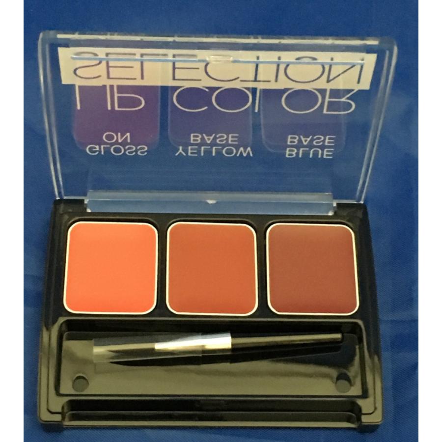 naris COSMETICS（ナリス化粧品） ナリス リップカラーセレクション