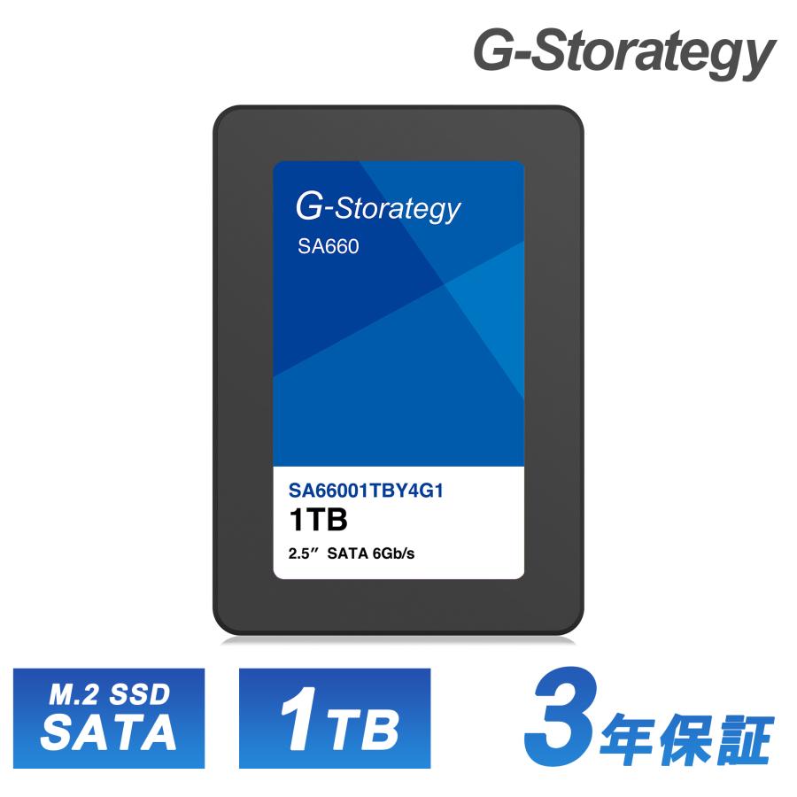 SSD 1TB 内蔵 M.2 3D NAND 増設 読み取り562MB/s 書き込み497MB/s 高