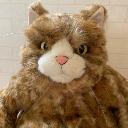 カドリー ねこ ぬいぐるみ ムッシュ【Cuddly／カドリーヌイグルミ