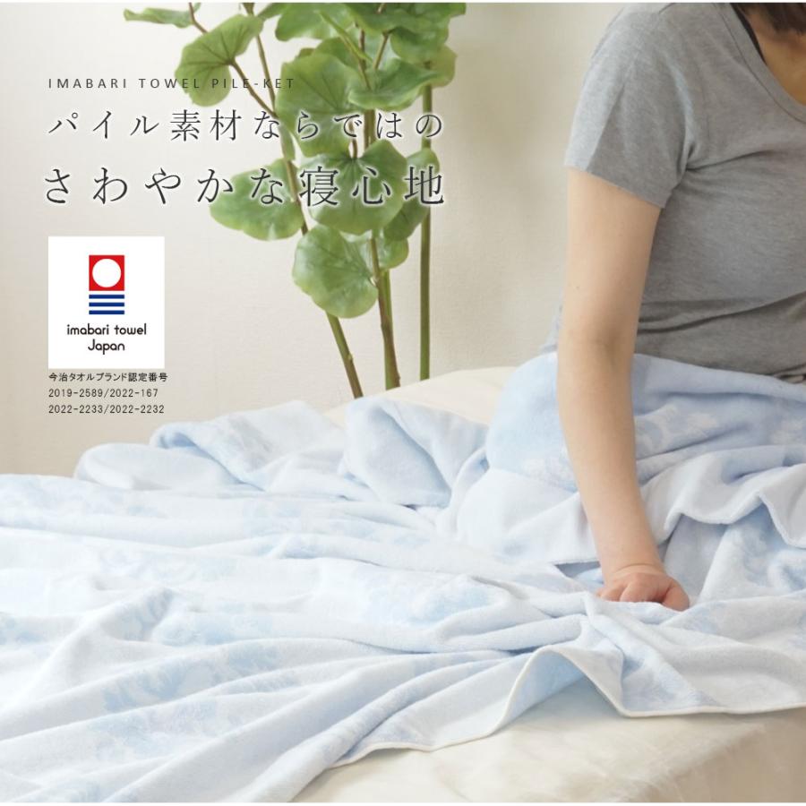 昭和西川 西川 今治 タオルケット シングル 2枚セット 今治タオル