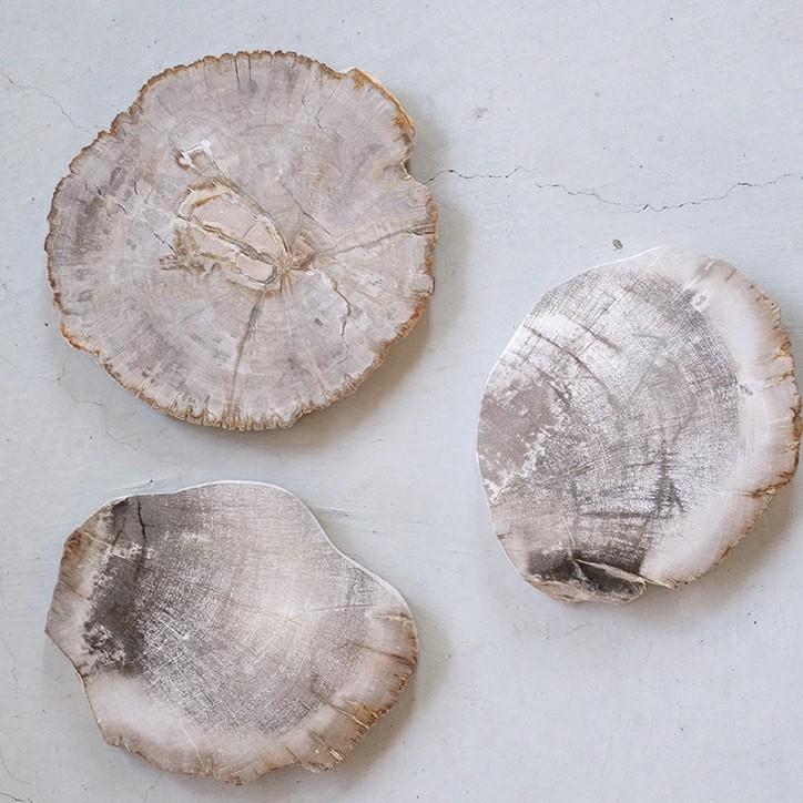 amabro（アマブロ） ウッドプレート 20 amabro WOOD PLATE 20 珪化木