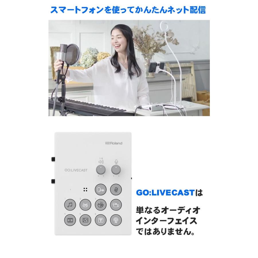 ローランド（Roland） Roland GO LIVECAST インターネット配信用