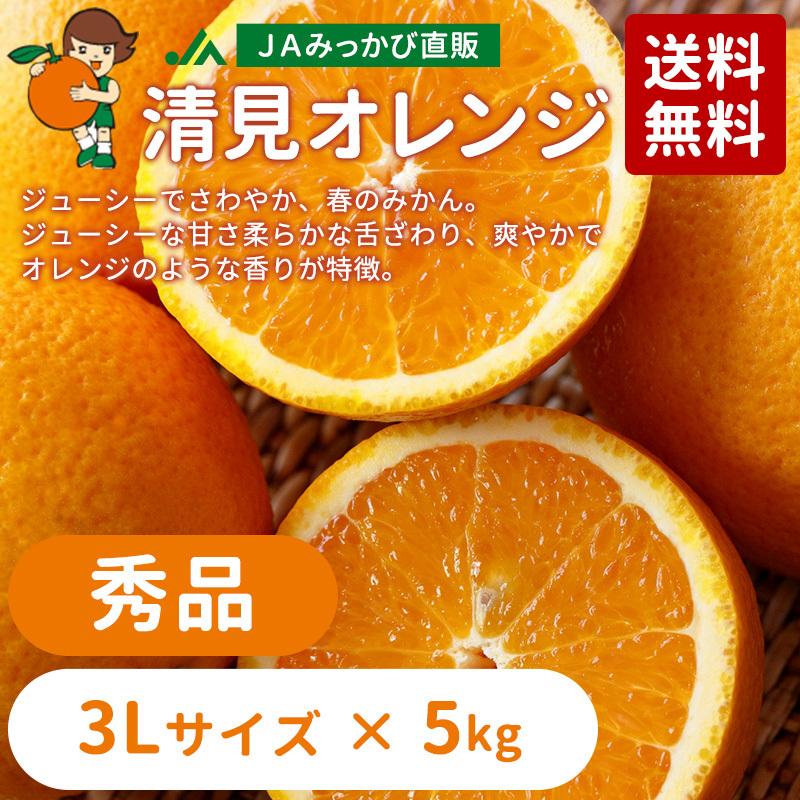 4月上旬発送】みかん 清見オレンジ 秀品 3Lサイズ 8kg箱（内容量5kg