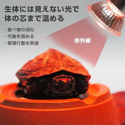 ペットペットゾーン マイクロインフラレッド 20W＋マイクロン クリップ