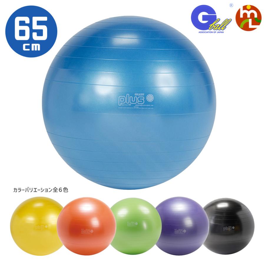 GYMNIC バランスボール 「ギムニクプラス（GYMNIC PLUS）65cm
