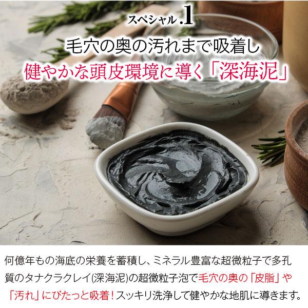 Black Care ブラックケアシャンプーKD 600ml 1本 リンス不要 頭皮ケア