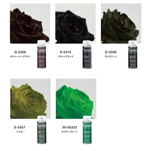 オアシス】カラースプレー 400ml 【油性】 /カラースプレー フラワー